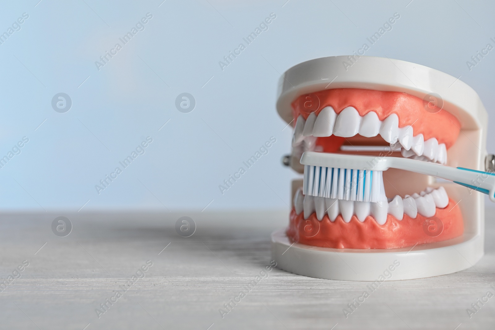 Photo of Educational model of oral cavity and toothbrush on table, space for text. Professional dentist