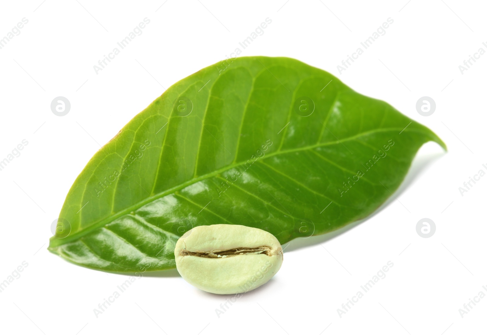 Photo of Green coffee bean and fresh leaf on white background