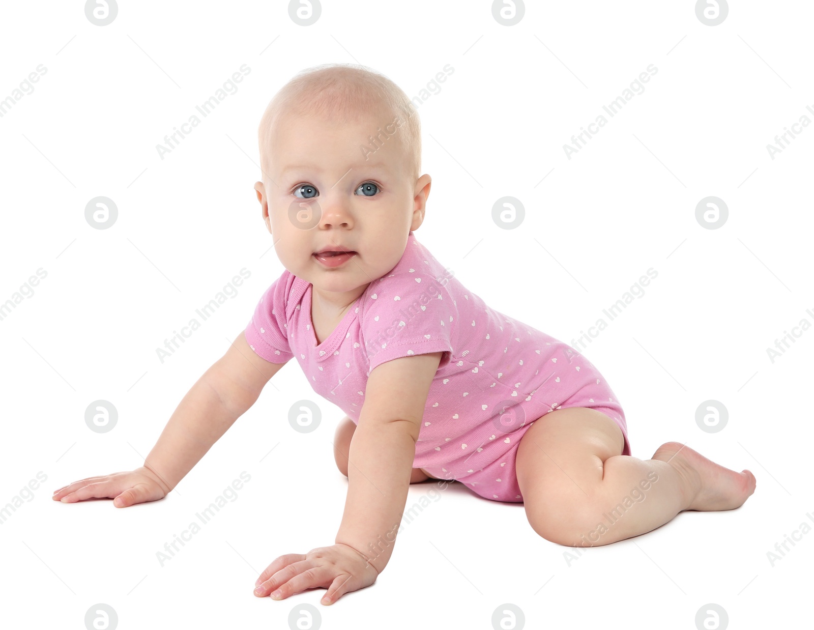 Photo of Cute little baby on white background. Crawling time
