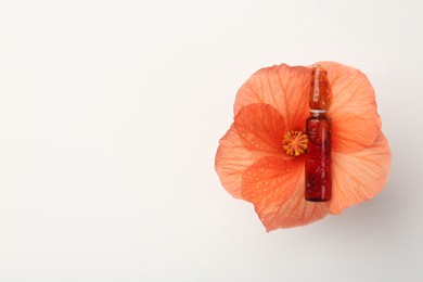 Skincare ampoules and hibiscus flower with water drops on white background, top view. Space for text