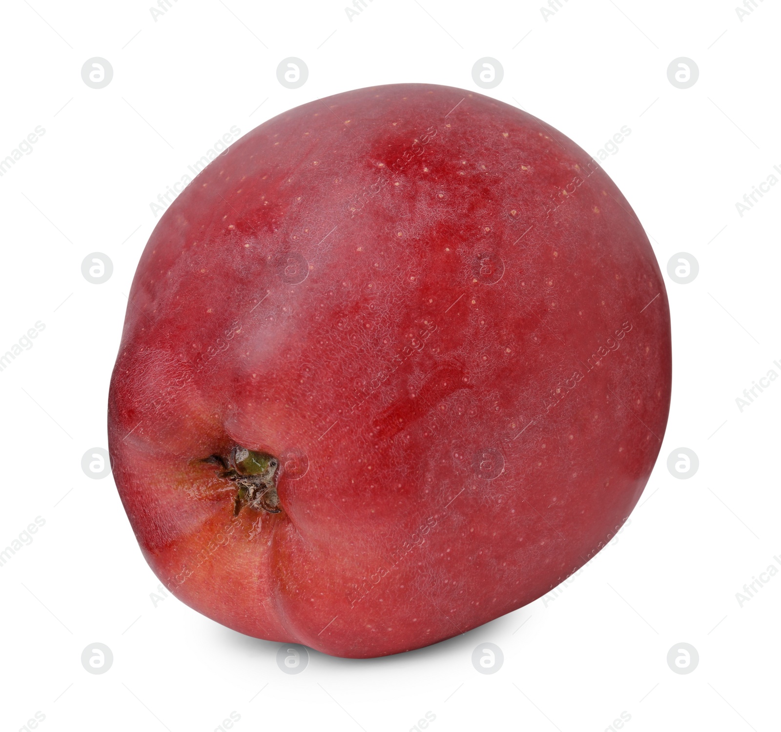 Photo of Whole ripe red apple isolated on white