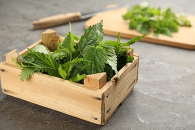 Fresh stinging nettle leaves in wooden crate on grey table, closeup