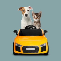 Image of Cute Jack Russel Terrier and tabby kitten in toy car on dusty light blue background