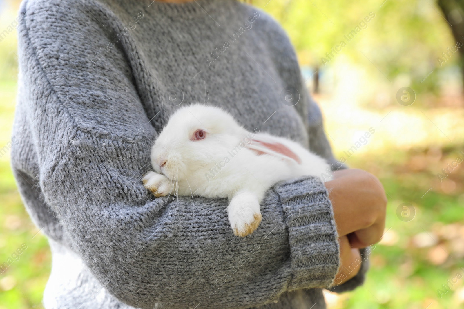 Photo of Woman holding cute white rabbit in park, closeup