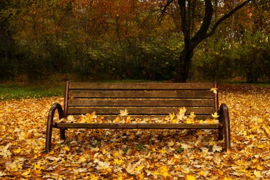 Photo of Wooden bench and fallen yellowed leaves in park