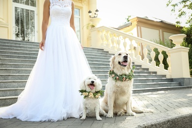 Photo of Bride and adorable dogs wearing wreathes made of beautiful flowers outdoors, closeup