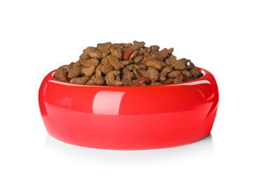 Bowl of dry pet food on white background