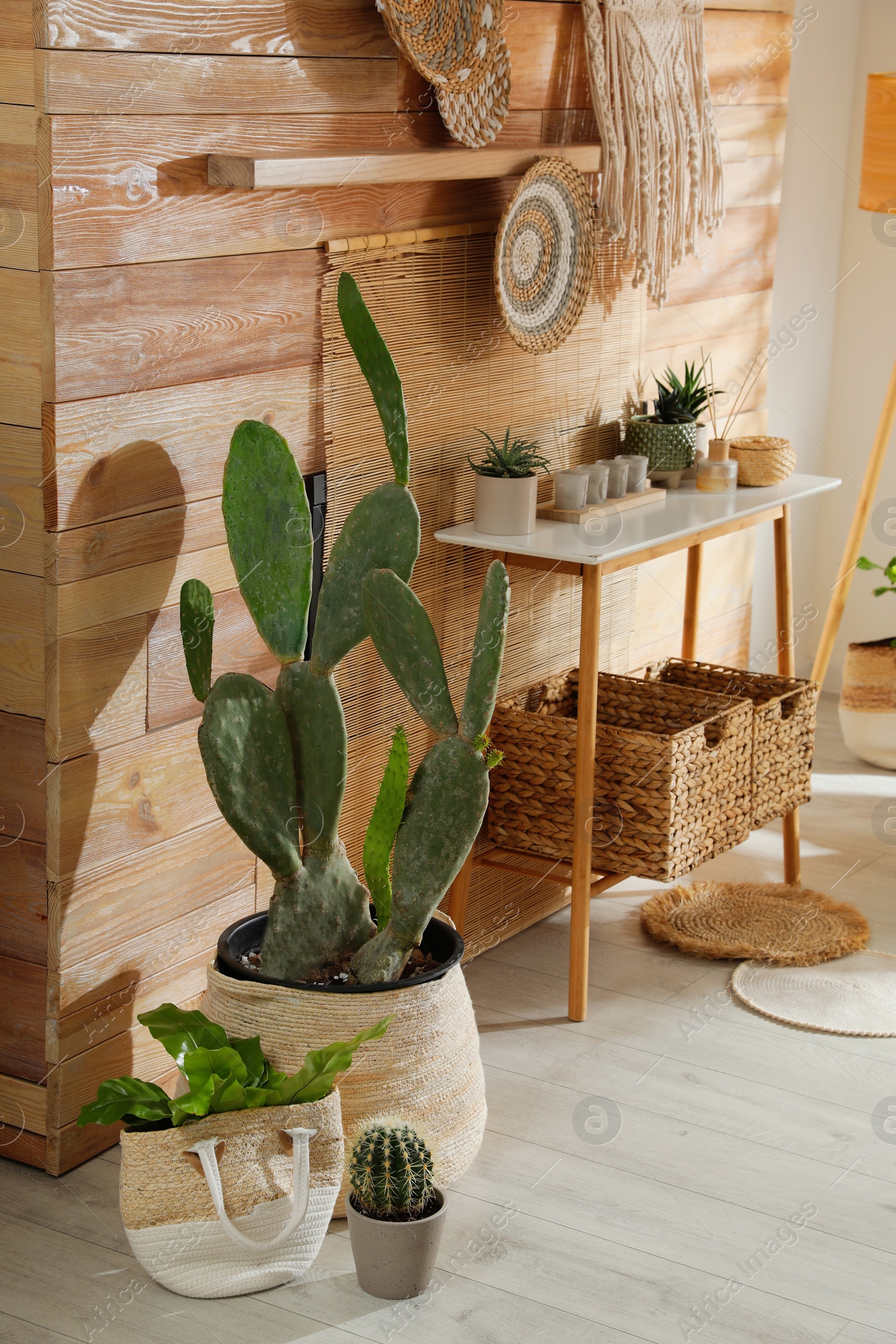 Photo of Modern room interior with beautiful houseplants and console table near wooden wall