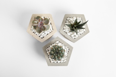 Photo of Beautiful succulent plants in stylish flowerpots on white background, top view. Home decor