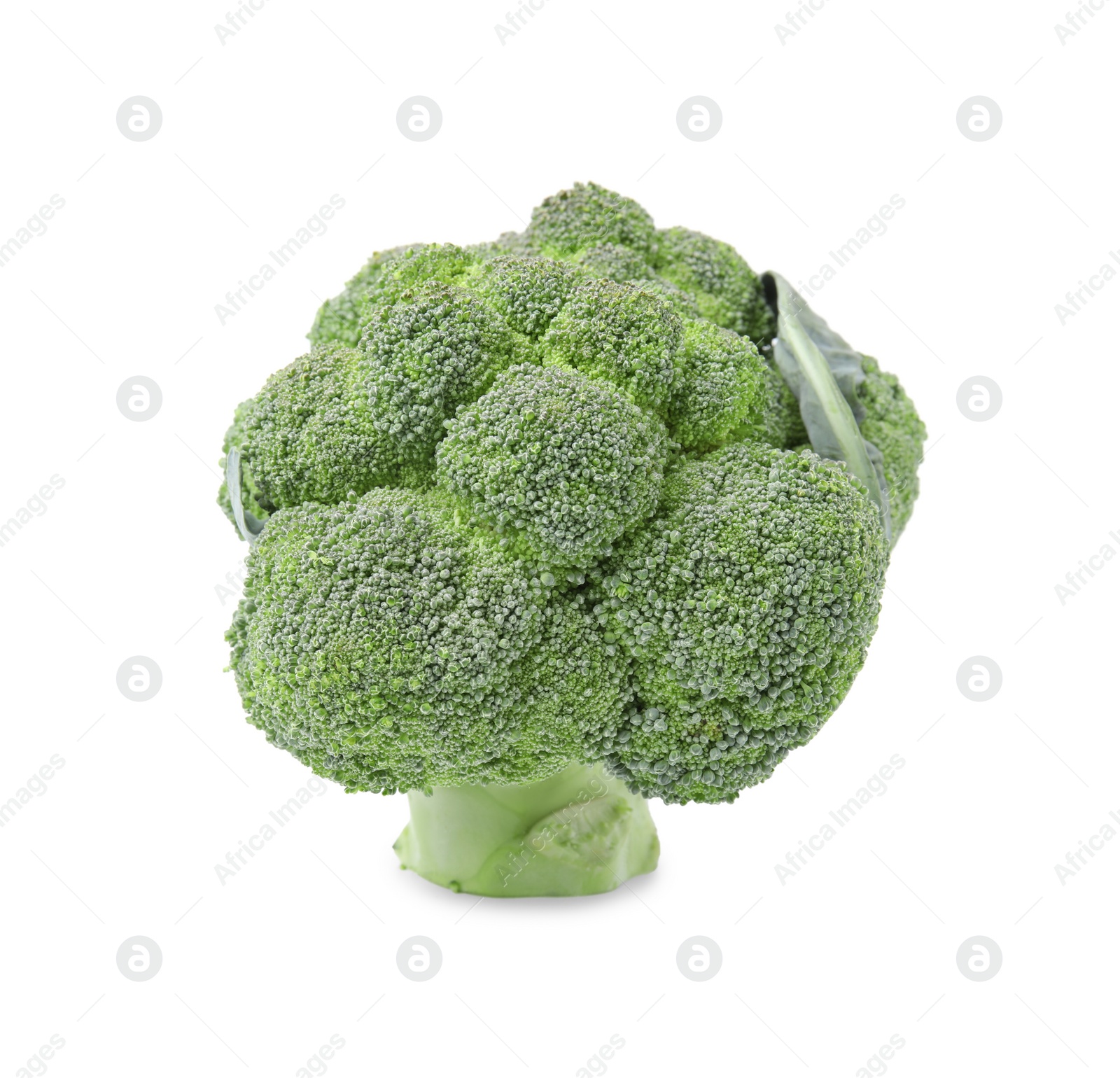 Photo of Fresh raw green broccoli isolated on white