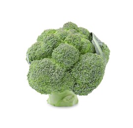 Fresh raw green broccoli isolated on white