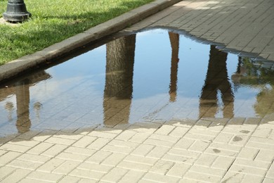 Puddle of rain water on paved pathway outdoors