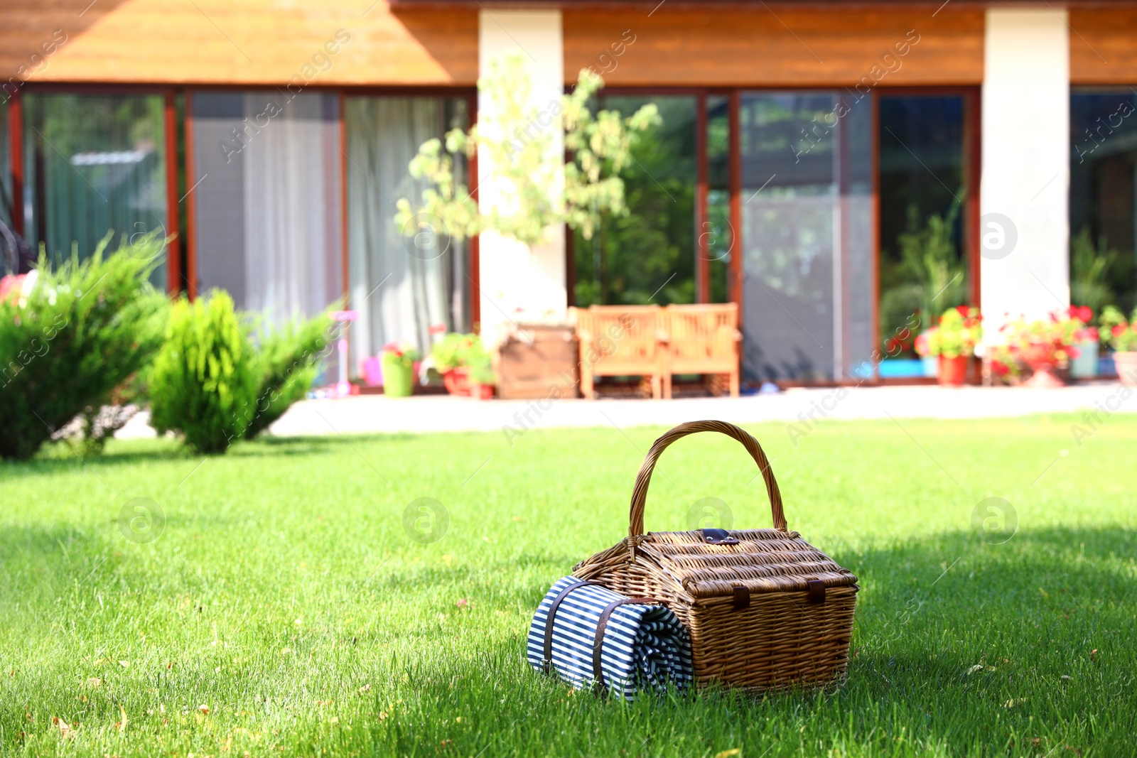 Photo of Picnic basket with blanket on green lawn in garden. Space for text