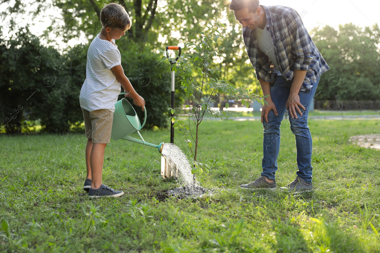 Photo of Dad and son watering tree in park on sunny day