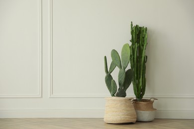 Photo of Beautiful potted cacti near white wall indoors, space for text. Interior element