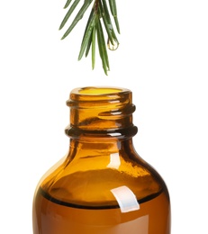 Dripping natural essential oil from tea tree branch into bottle on white background