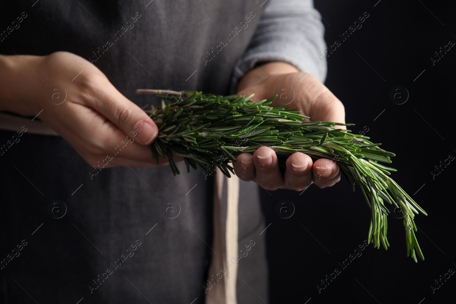 Photo of Woman holding fresh rosemary twigs on black background, closeup