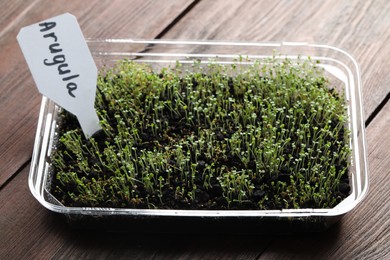 Photo of Young sprouts and card with word Arugula on wooden table