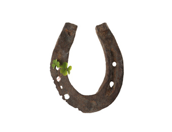 Old horseshoe and clover on white background. St. Patrick's Day celebration