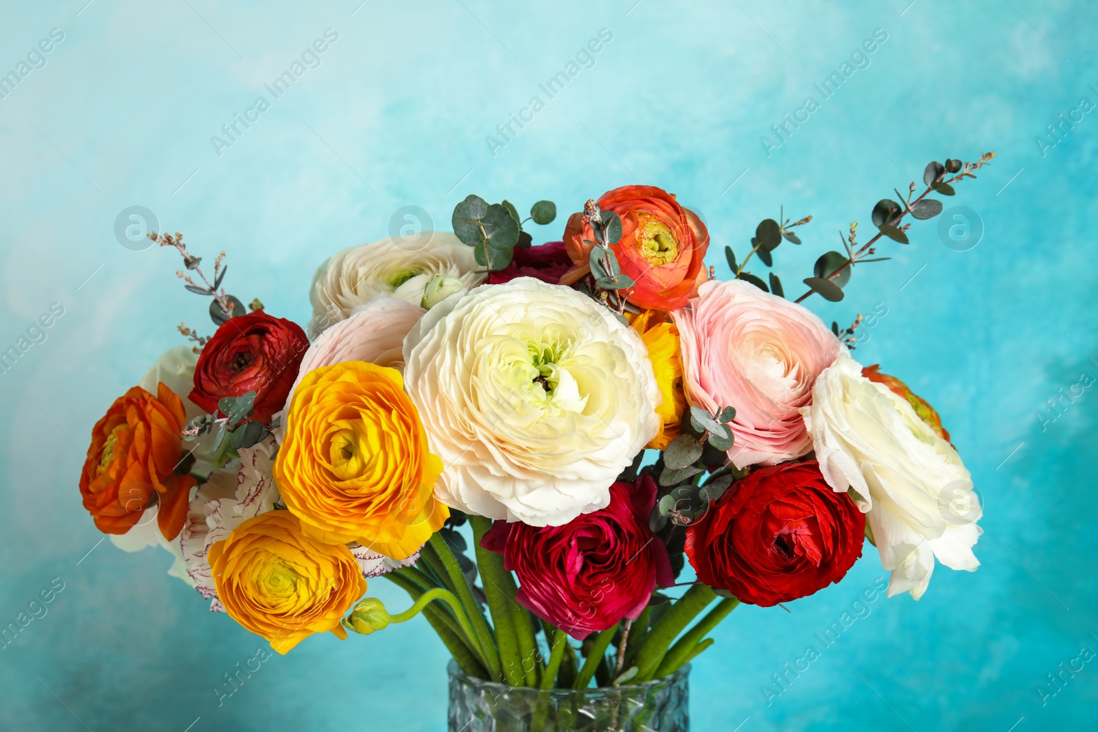 Photo of Bouquet with beautiful spring ranunculus flowers on color background