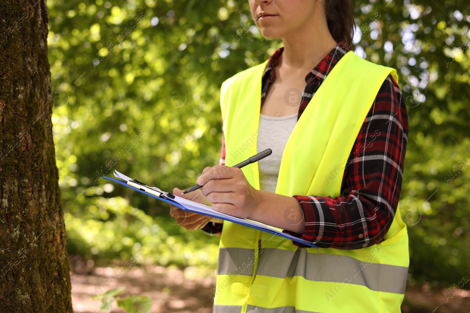 Photo of Forester with clipboard and pen examining tree in forest, closeup