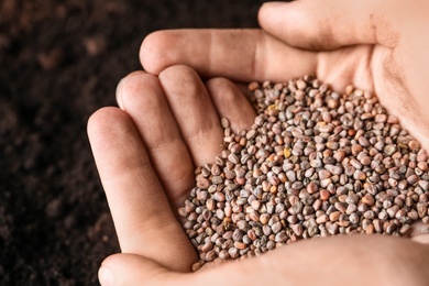 Photo of Woman holding pile of radish seeds over soil, closeup. Vegetable planting