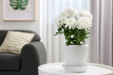 Photo of Beautiful chrysanthemum plant in flower pot on white table in room, space for text