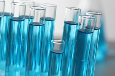 Test tubes with light blue liquid in laboratory, closeup