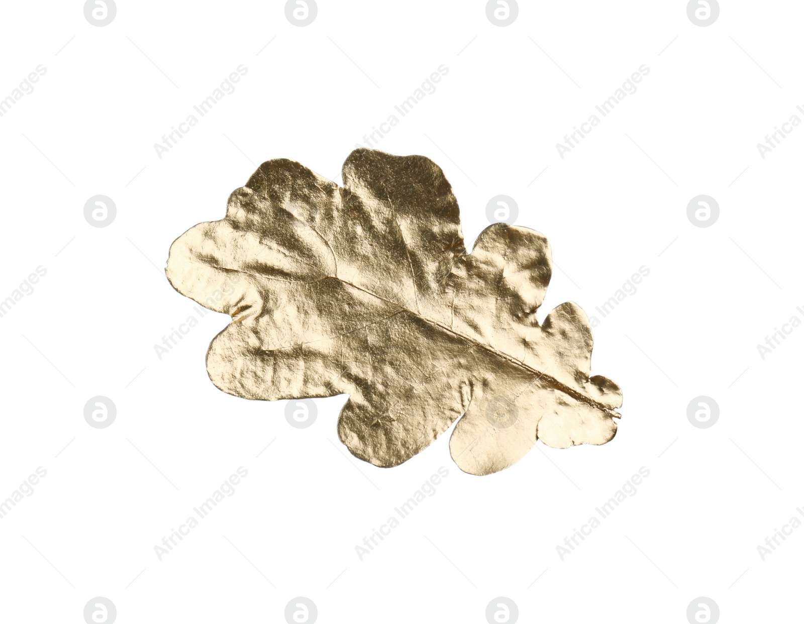 Photo of One golden oak leaf isolated on white. Autumn season