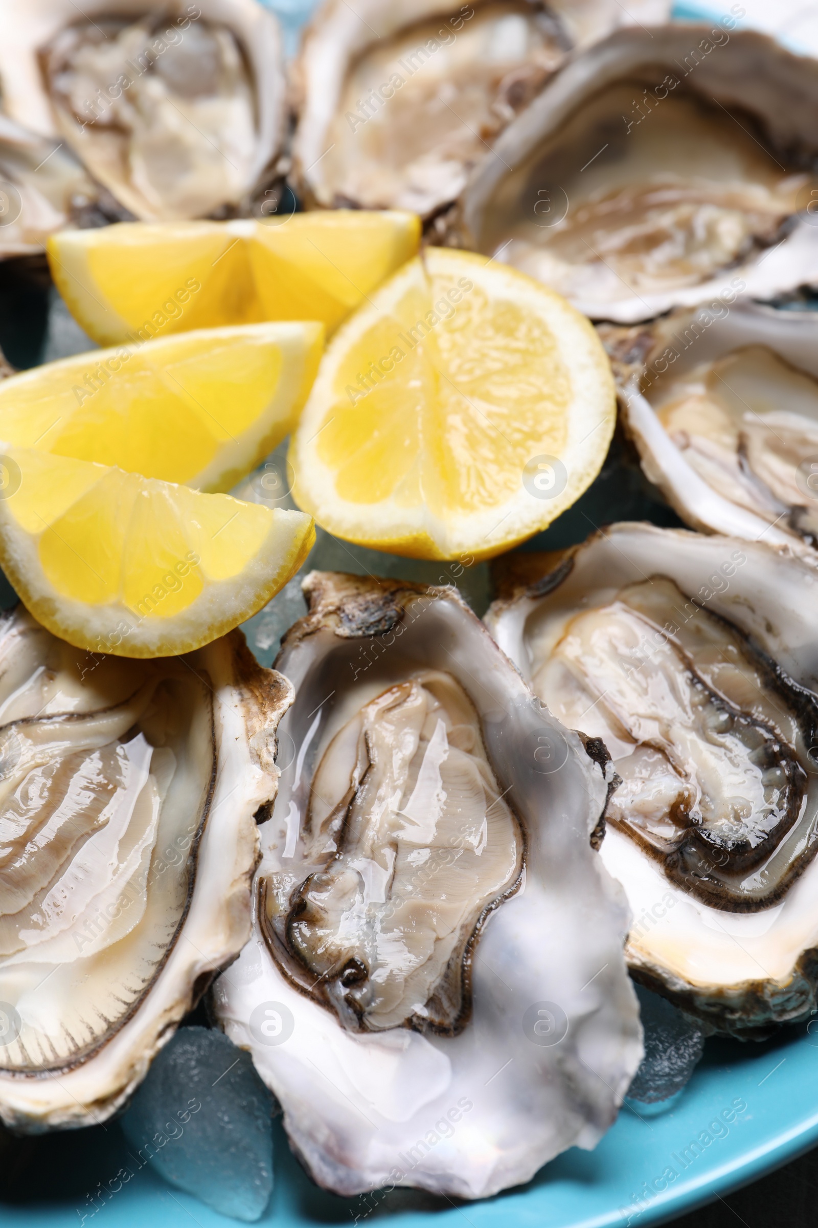 Photo of Fresh oysters with lemon on plate, closeup