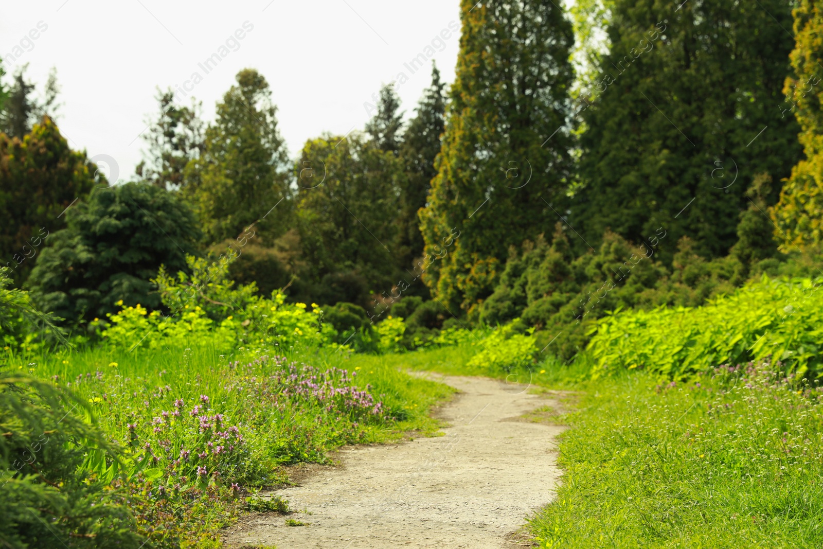 Photo of Beautiful view of park with trees and green grass