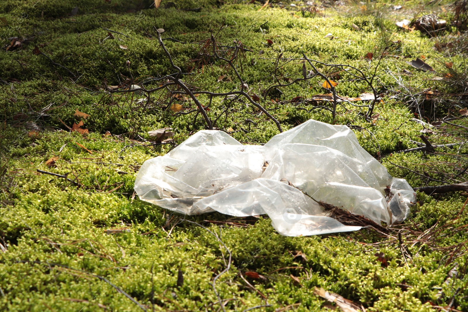 Photo of Disposable polyethylene bag on grass outdoors. Recycling problem