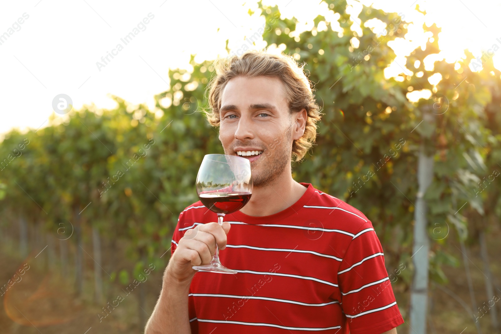 Photo of Young handsome man enjoying wine at vineyard