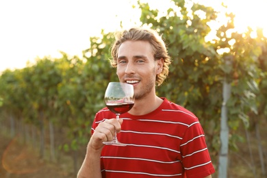 Young handsome man enjoying wine at vineyard