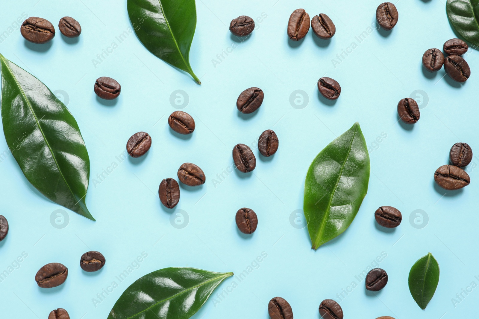 Photo of Fresh green coffee leaves and beans on light blue background, flat lay