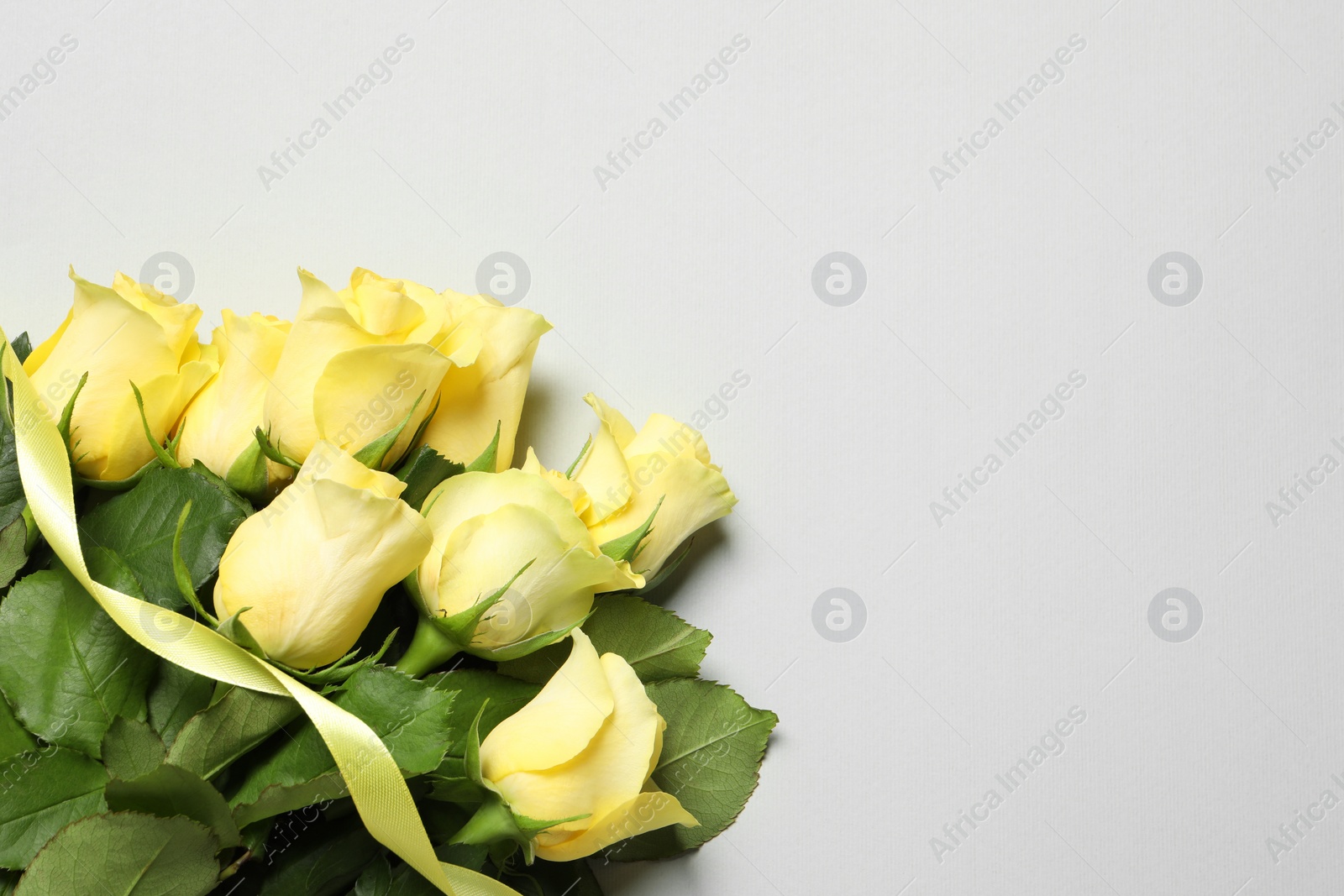 Photo of Beautiful yellow roses and ribbon on light grey background, flat lay. Space for text