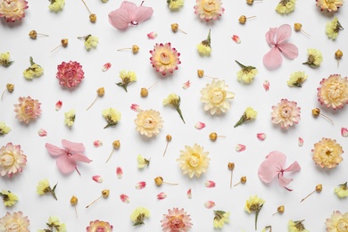 Photo of Beautiful fresh and dry flowers on white background, flat lay