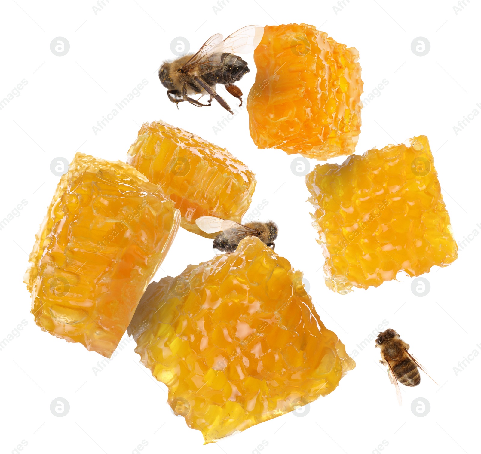 Image of Pieces of honeycomb in air and bees flying on white background