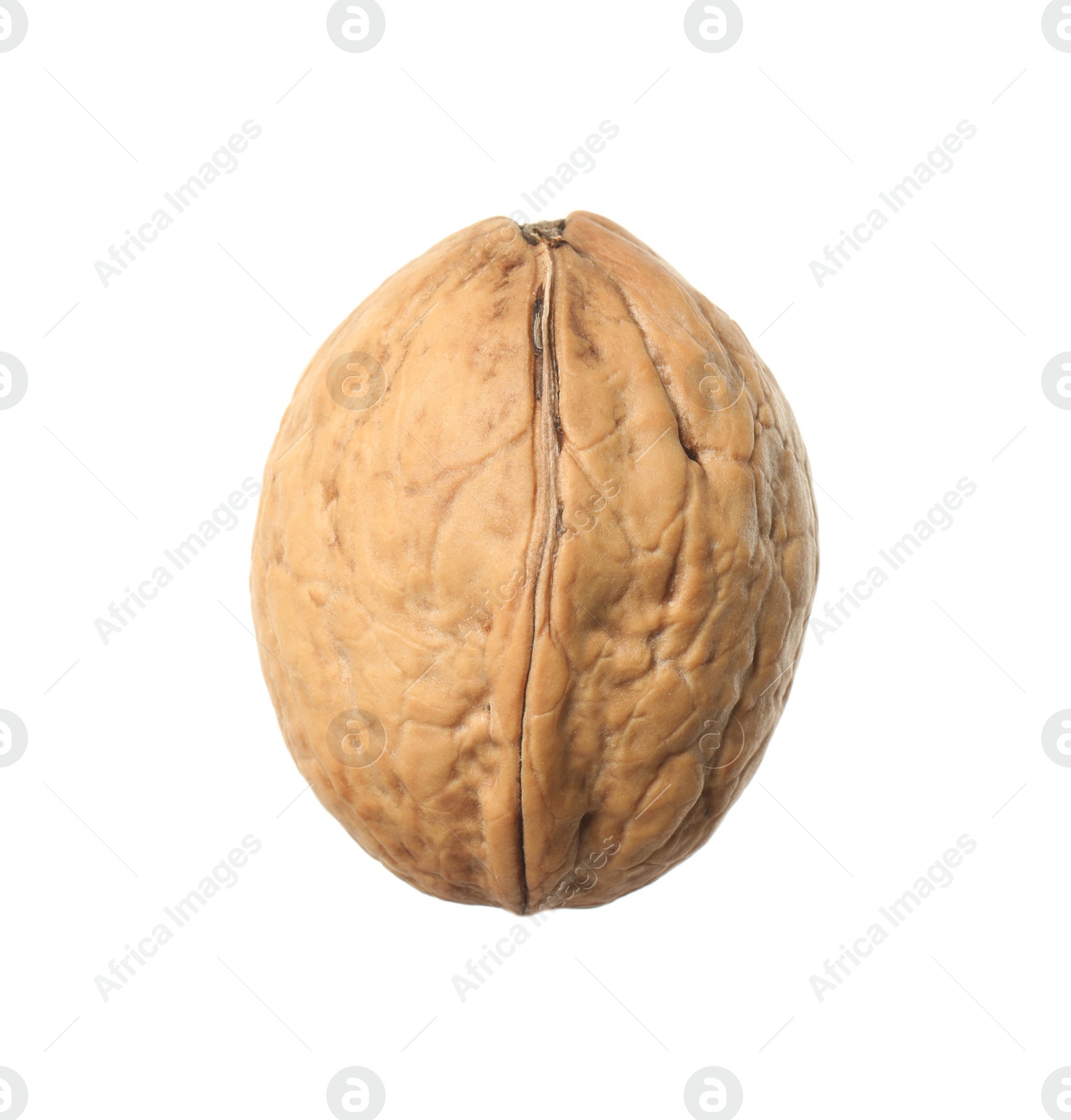 Photo of Whole walnut in shell isolated on white