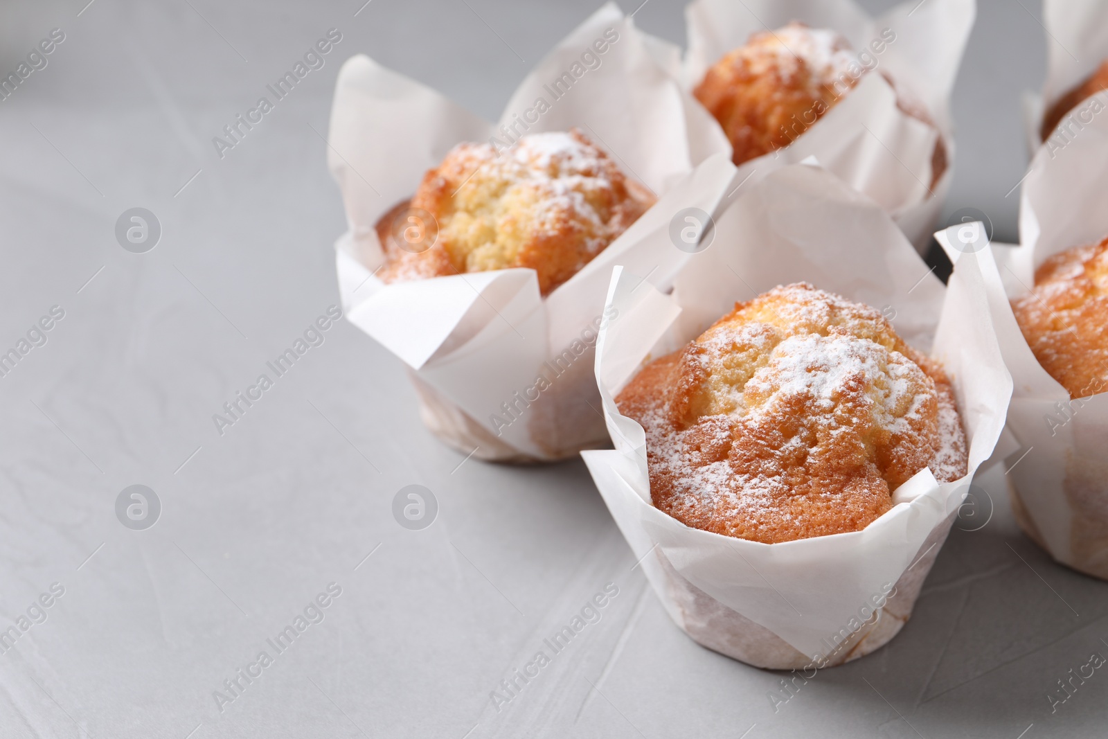 Photo of Delicious muffins with powdered sugar on grey table, closeup. Space for text