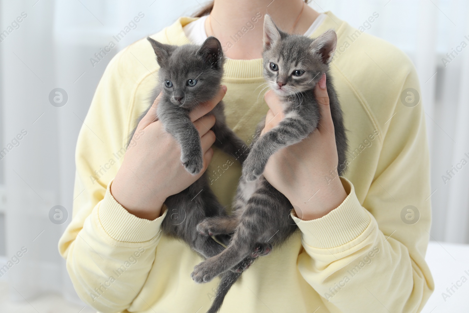 Photo of Woman with cute fluffy kittens at home, closeup