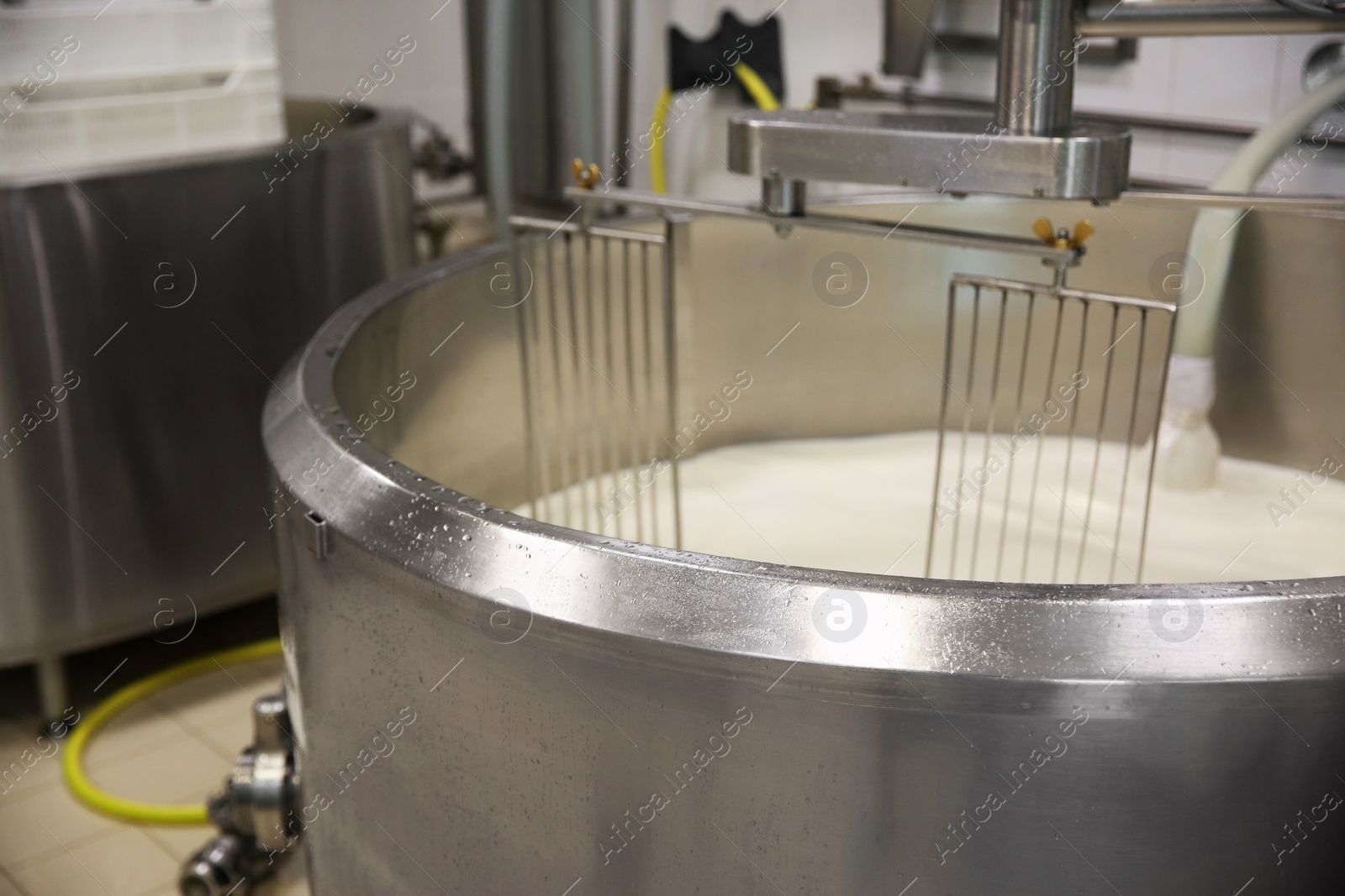 Photo of Pouring milk into curd preparation tank at cheese factory