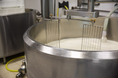 Pouring milk into curd preparation tank at cheese factory