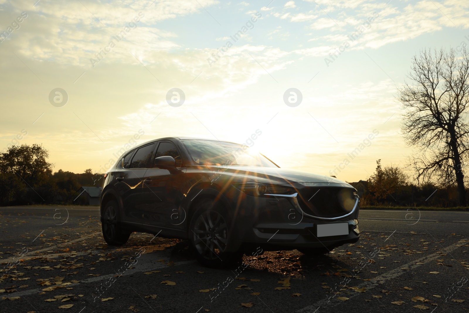 Photo of Black modern car parked on road at sunset