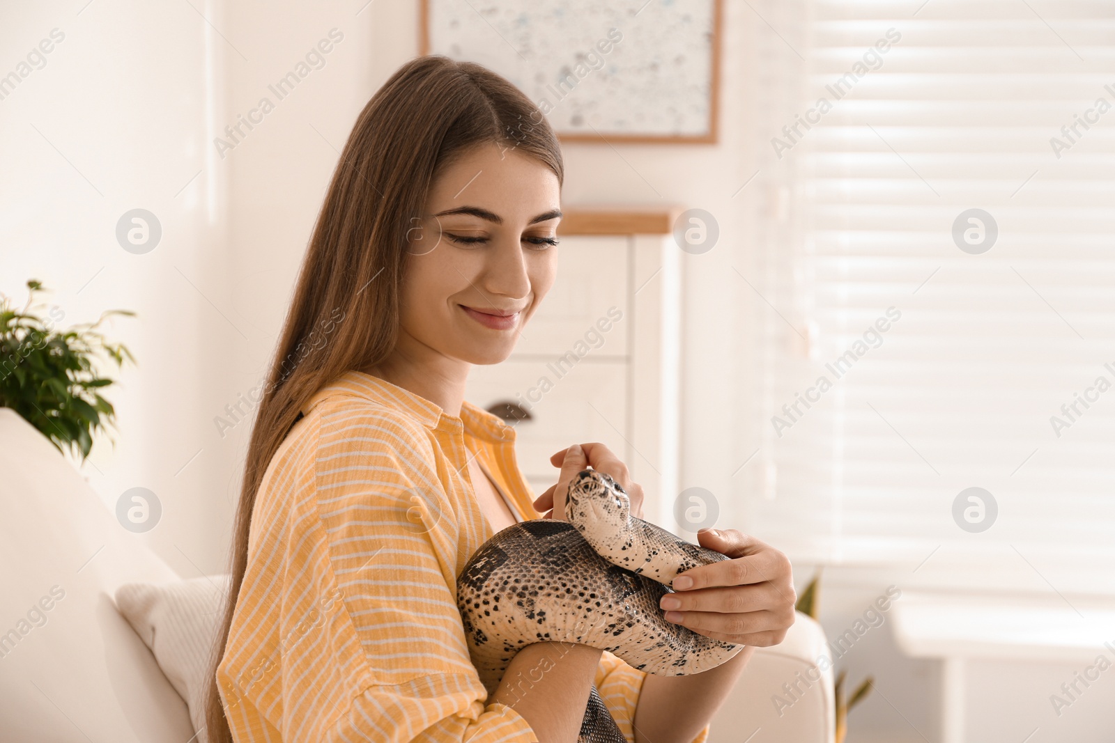 Photo of Young woman with boa constrictor at home. Exotic pet