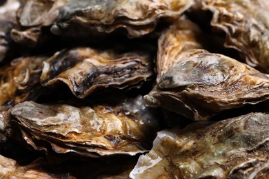 Photo of Fresh closed oysters as background, closeup view