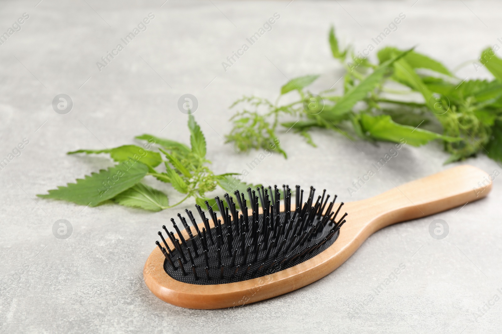 Photo of Stinging nettle and brush on grey background. Natural hair care