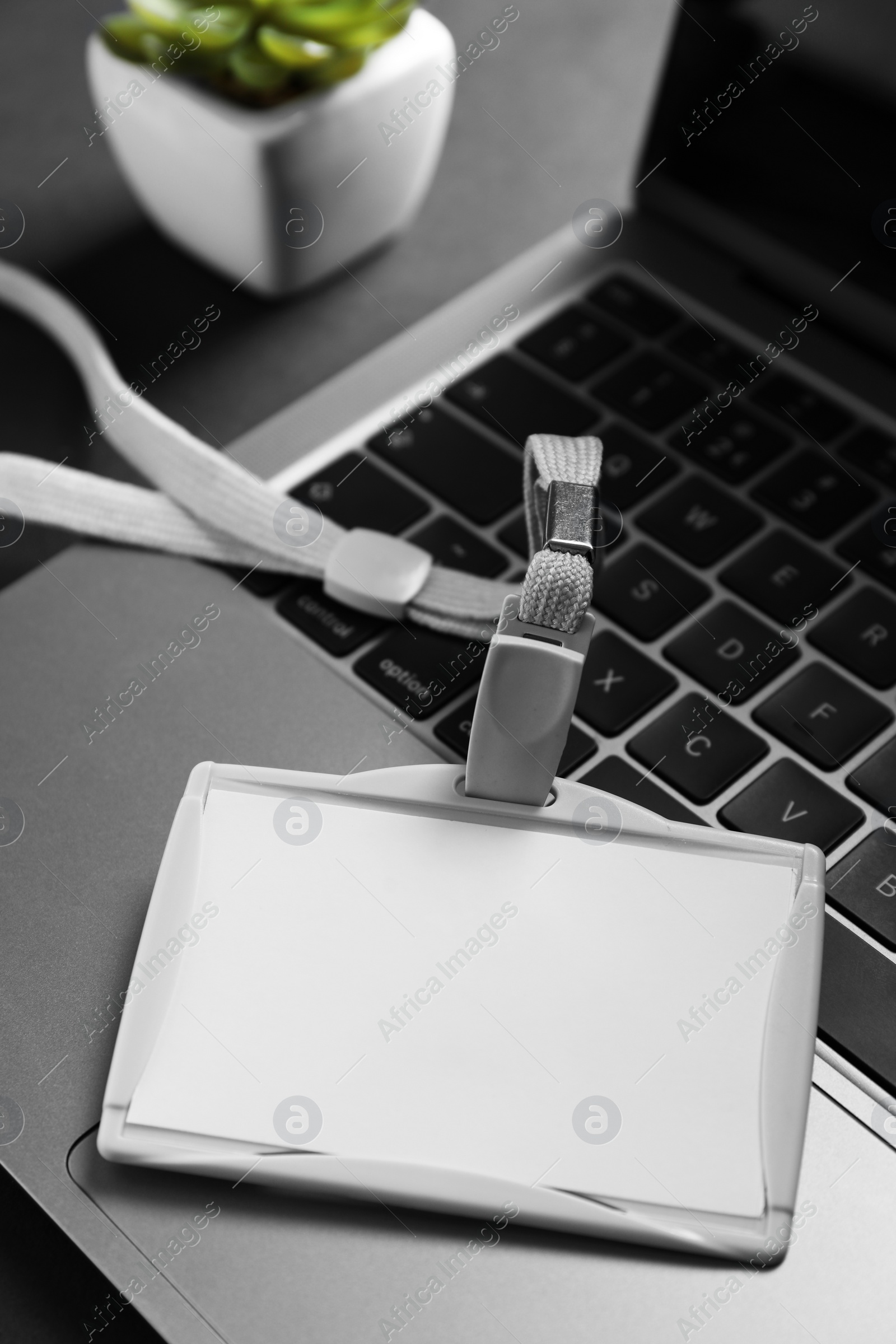 Photo of Blank badge, laptop and houseplant on grey background