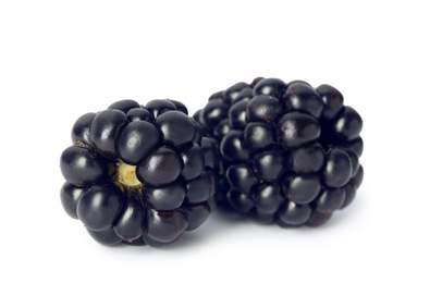 Fresh ripe juicy blackberries on white background