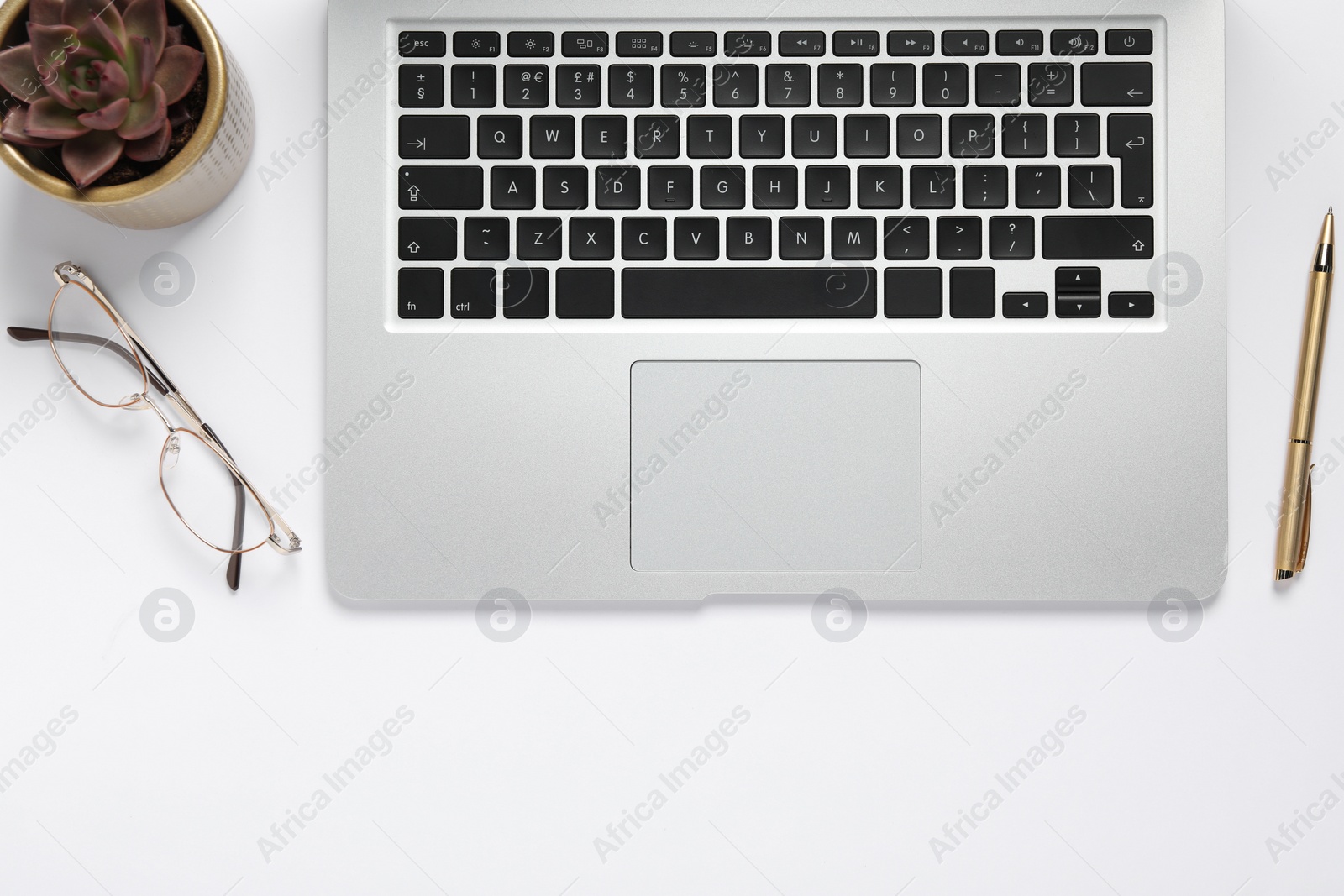 Photo of Modern laptop, houseplant, glasses and pen on white table, flat lay. Space for text